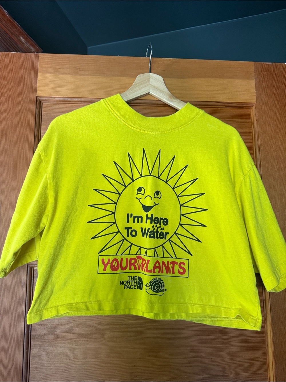 The North Face Bright Yellow Crop Tee with Sun Graphic